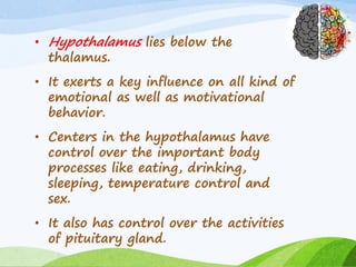 • Hypothalamus lies below the
thalamus.
• It exerts a key influence on all kind of
emotional as well as motivational
behavior.
• Centers in the hypothalamus have
control over the important body
processes like eating, drinking,
sleeping, temperature control and
sex.
• It also has control over the activities
of pituitary gland.
 