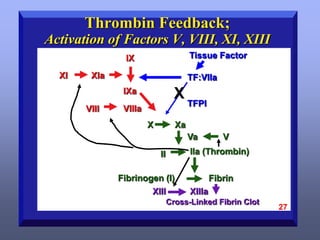 Review of the coagulation system | PPTX