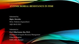 REVIEW ON
ANTIMICROBIAL RESISTANCE IN FISH
Submitted by:
Biplov Shrestha
M.Sc. Fisheries (Aquaculture)
AQU-M-02-2021
Submitted to:
Prof. Dilip Kumar Jha, Ph.D.
Department of Aquatic Resource Management
Fisheries Program
FAVF, AFU, Rampur
 