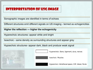 Review on the applications of ultrasonography in dentistry - Dr Sanjana ...