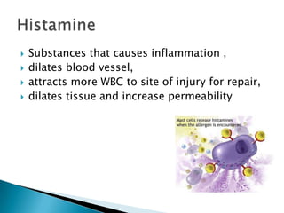 Substances that causes inflammation , dilates blood vessel, attracts more WBC to site of injury for repair,dilates tissue and increase permeability Histamine