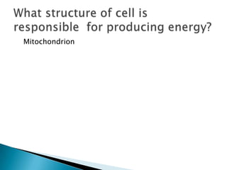 Mitochondrion What structure of cell is responsible  for producing energy?