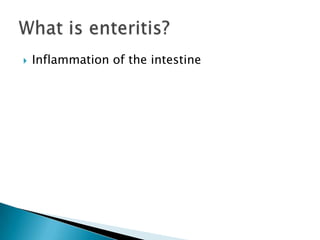 Inflammation of the intestineWhat is enteritis?