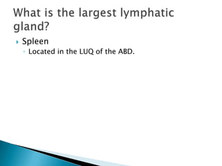 SpleenLocated in the LUQ of the ABD.What is the largest lymphatic gland?