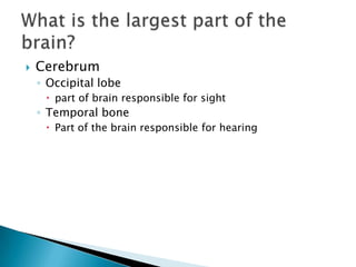 CerebrumOccipital lobepart of brain responsible for sightTemporal bone Part of the brain responsible for hearingWhat is the largest part of the brain?	
