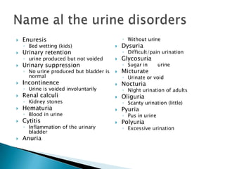 EnuresisBed wetting (kids)Urinary retentionurine produced but not voidedUrinary suppression No urine produced but bladder is normalIncontinenceUrine is voided involuntarilyRenal calculiKidney stonesHematuriaBlood in urineCytitisInflammation of the urinary bladderAnuriaWithout urine DysuriaDifficult/pain urinationGlycosuria Sugar in	urineMicturateUrinate or voidNocturiaNight urination of adultsOliguriaScanty urination (little)PyuriaPus in urinePolyuriaExcessive urination Name al the urine disorders