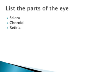 Sclera Choroid Retina List the parts of the eye