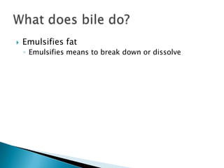 Emulsifies fatEmulsifies means to break down or dissolveWhat does bile do?