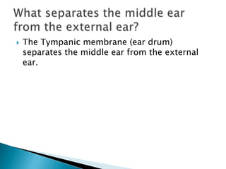 The Tympanic membrane (ear drum) separates the middle ear from the external ear.What separates the middle ear from the external ear?