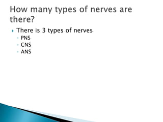 There is 3 types of nervesPNSCNSANSHow many types of nerves are there?