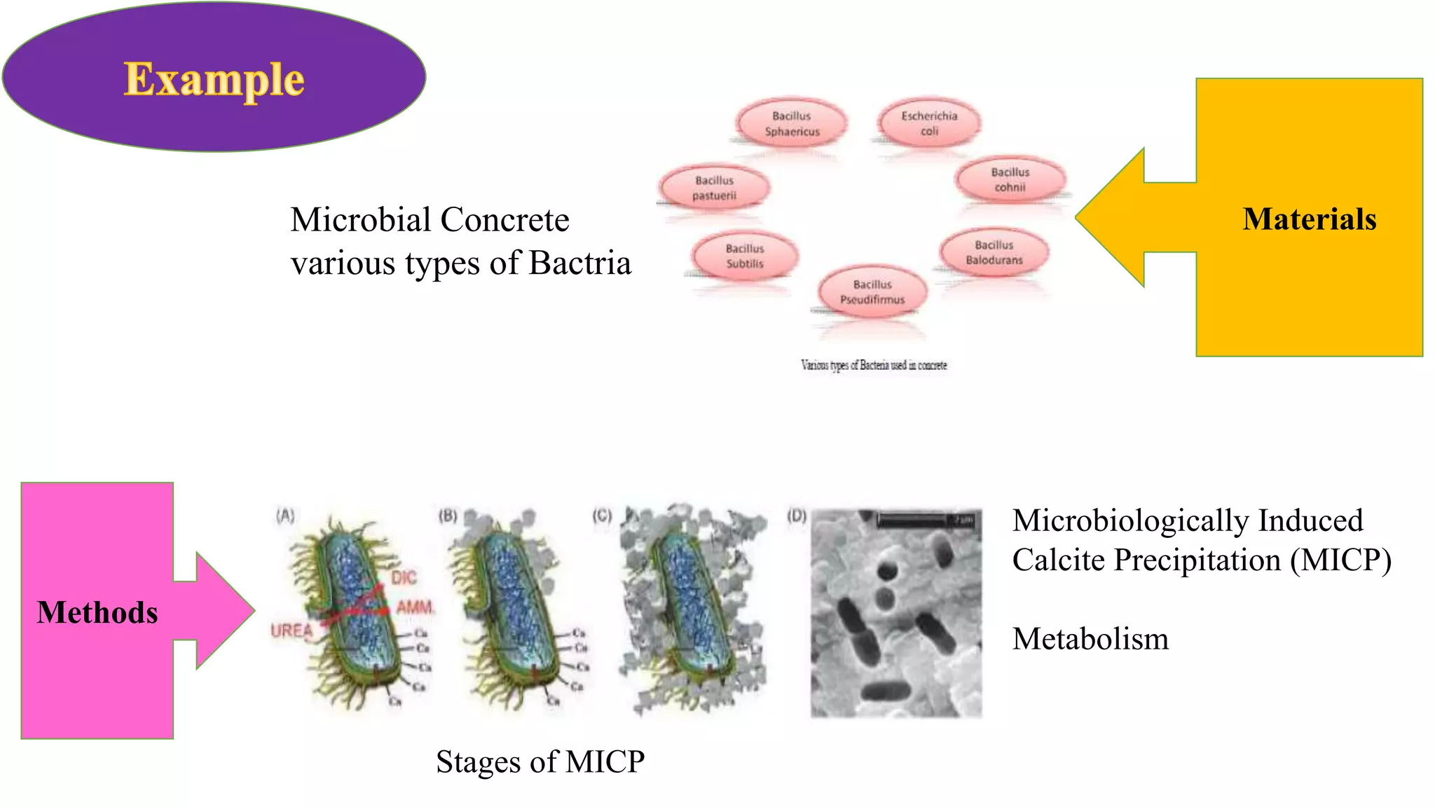 Microbial Concrete
various types of Bactria
Materials
Microbiologically Induced
Calcite Precipitation (MICP)
Metabolism
Methods
Stages of MICP
 
