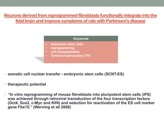 Neurons derived from reprogrammed fibroblasts functionally integrate into the 
fetal brain and improve symptoms of rats with Parkinson's disease 
Keywords 
 embryonic stem cells 
 reprogramming 
 cell transplantation 
 Tyrosine hydroxylase (TH) 
• somatic cell nuclear transfer - embryonic stem cells (SCNT-ES) 
• therapeutic potential 
• “In vitro reprogramming of mouse fibroblasts into pluripotent stem cells (iPS) 
was achieved through retroviral transduction of the four transcription factors 
(Oct4, Sox2, c-Myc and Klf4) and selection for reactivation of the ES cell marker 
gene Fbx15.” (Werning et all 2008) 
 