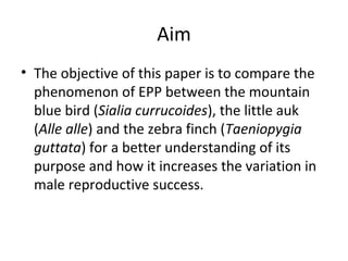 Aim
• The objective of this paper is to compare the
phenomenon of EPP between the mountain
blue bird (Sialia currucoides), the little auk
(Alle alle) and the zebra finch (Taeniopygia
guttata) for a better understanding of its
purpose and how it increases the variation in
male reproductive success.

 
