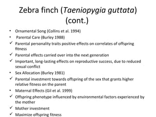 Zebra finch (Taeniopygia guttata)
(cont.)
• Ornamental Song (Collins et al. 1994)
• Parental Care (Burley 1988)
 Parental personality traits positive effects on correlates of offspring
ﬁtness
 Parental effects carried over into the next generation
 Important, long-lasting effects on reproductive success, due to reduced
sexual conﬂict
• Sex Allocation (Burley 1981)
 Parental investment towards offspring of the sex that grants higher
relative fitness on the parent
• Maternal Effects (Gil et al. 1999)
 Offspring phenotype influenced by environmental factors experienced by
the mother
 Mother investment
 Maximize offspring fitness

 