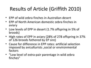Results of Article (Griffith 2010)
• EPP of wild zebra finches in Australian desert
• EPP of North American domestic zebra finches in
aviary
• Low levels of EPP in desert (1.7% offspring in 5% of
broods)
• High rates of EPP in aviary (28% of 278 offspring in 37%
of 126 broods fathered by EP sire)
• Cause for difference in EPP rates: artificial selection
imposed by aviculturists ,social or environmental
factors
• “Low level of extra-pair parentage in wild zebra
finches”

 