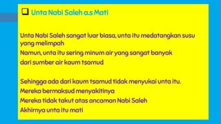  Unta Nabi Saleh a.s Mati
Unta Nabi Saleh sangat luar biasa, unta itu medatangkan susu
yang melimpah
Namun, unta itu sering minum air yang sangat banyak
dari sumber air kaum tsamud
Sehingga ada dari kaum tsamud tidak menyukai unta itu.
Mereka bermaksud menyakitinya
Mereka tidak takut atas ancaman Nabi Saleh
Akhirnya unta itu mati
 