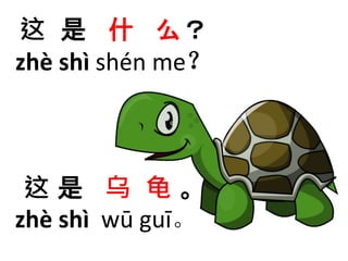 这是什么？ 
zhè shì shén me？ 
这是乌龟。 
zhè shì wū guī。 
 