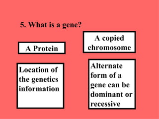 5.  What is a gene? Alternate form of a gene can be dominant or recessive   A copied chromosome Location of the genetics information A Protein 