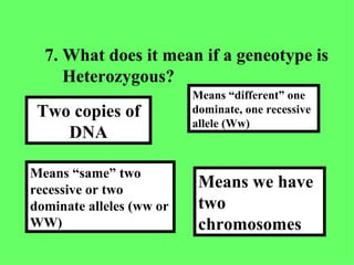 7. What does it mean if a geneotype is Heterozygous? Means we have two chromosomes Means “different” one dominate, one recessive allele (Ww) Means “same” two recessive or two dominate alleles (ww or WW) Two copies of DNA 