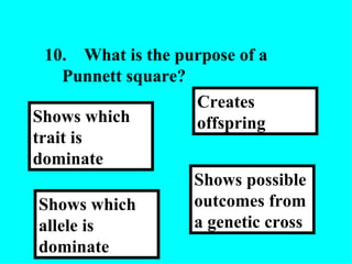 10.  What is the purpose of a Punnett square?  Shows possible outcomes from a genetic cross Creates offspring  Shows which allele is dominate Shows which trait is dominate 
