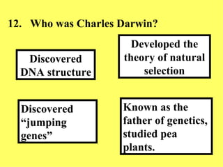 12. Who was Charles Darwin? Known as the father of genetics, studied pea plants. Developed the theory of natural selection Discovered “jumping genes” Discovered DNA structure 