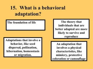 15. What is a behavioral adaptation? An adaptation that involves a physical characteristics, like mimicry, protective coloration or camouflage The theory that individuals that are better adapted are more likely to survive and reproduce Adaptations that involve a behavior, like seed dispersal, pollination, hibernation, homeostasis or migration. The foundation of life 