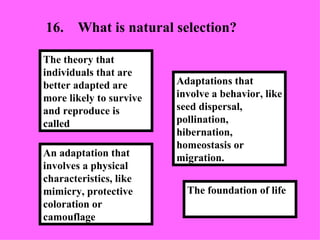 16. What is natural selection? An adaptation that involves a physical characteristics, like mimicry, protective coloration or camouflage   Adaptations that involve a behavior, like seed dispersal, pollination, hibernation, homeostasis or migration. The theory that individuals that are better adapted are more likely to survive and reproduce is called The foundation of life 