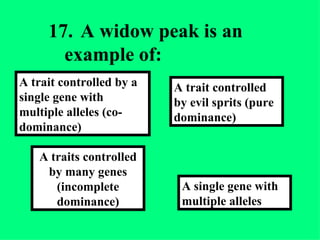 17. A widow peak is an example of: A single gene with multiple alleles   A trait controlled by evil sprits (pure dominance) A traits controlled by many genes (incomplete dominance) A trait controlled by a single gene with multiple alleles (co-dominance) 