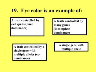 19. Eye color is an example of: A single gene with multiple allele A traits controlled by many genes (incomplete dominance) A trait controlled by a single gene with multiple alleles (co-dominance) A trait controlled by evil sprits (pure dominance) 