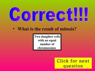 Correct!!! What is the result of mitosis?   Two daughter cells with an equal number of chromosomes   Click for next question 