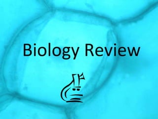 Biology Review 