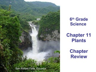6 th  Grade Science  Chapter 11 Plants Chapter Review San Rafael Falls, Ecuador 