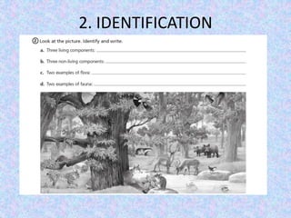 2. IDENTIFICATION
 