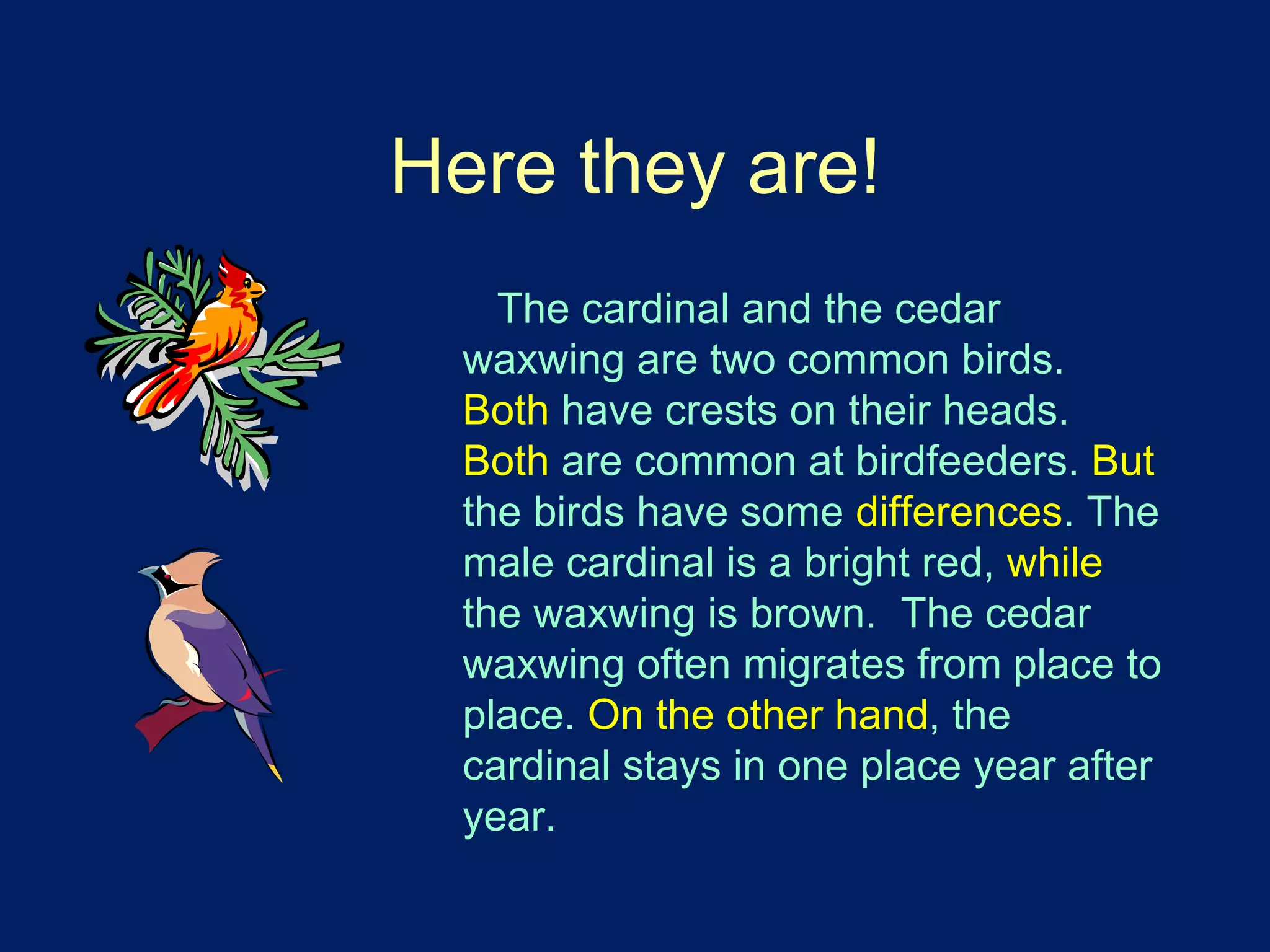Here they are! 
The cardinal and the cedar 
waxwing are two common birds. 
Both have crests on their heads. 
Both are common at birdfeeders. But 
the birds have some differences. The 
male cardinal is a bright red, while 
the waxwing is brown. The cedar 
waxwing often migrates from place to 
place. On the other hand, the 
cardinal stays in one place year after 
year. 
 