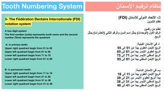 Review Translation.pdf