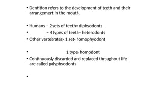 Humadont Teeth Comprehensive Review of Head and Neck Anatomy: Skull, Face, and Jaws | PPTX