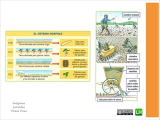 Imágenes
extraídas
Vicens Vives
 
