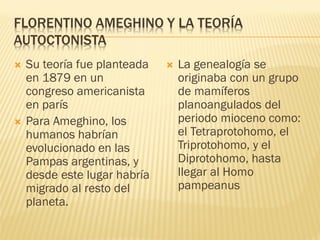 FLORENTINO AMEGHINO Y LA TEORÍA
AUTOCTONISTA
   Su teoría fue planteada      La genealogía se
    en 1879 en un                 originaba con un grupo
    congreso americanista         de mamíferos
    en parís                      planoangulados del
   Para Ameghino, los            periodo mioceno como:
    humanos habrían               el Tetraprotohomo, el
    evolucionado en las           Triprotohomo, y el
    Pampas argentinas, y          Diprotohomo, hasta
    desde este lugar habría       llegar al Homo
    migrado al resto del          pampeanus
    planeta.
 