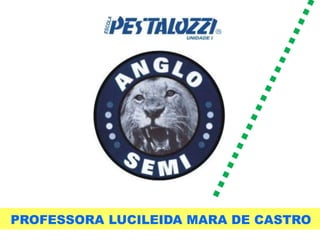 PROFESSORA LUCILEIDA MARA DE CASTRO