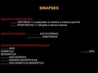 SINAPSES
QUANTO A LOCALIZAÇÃO.
........ CENTRAIS => Localizadas no cérebro e medula espinhal
......... PERIFÉRICAS => Gânglios e placas motoras
QUANTO A FUNÇÃO......................EXCITATÓRIAS
.......................INIBITÓRIAS
QUANTO AS ESTRUTURAS ENVOLVIDAS
........... AXO-
SOMÁTICA ........... AXO-
DENDRÍTICA
........... AXO-AXÔNICA
........... DENDRO-DENDRÍTICAS
........... AXO-SOMÁTICA-DENDRÍTICA
 