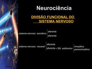Neurociência
aula 01
DIVISÃO FUNCIONAL DO
SISTEMA NERVOSO
sistema nervoso somático
sistema nervoso visceral
aferente
aferente
eferente
eferente = SN autônomo
simpático
parassimpático
 