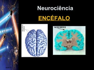 Neurociência
aula 01
ENCÉFALO
 