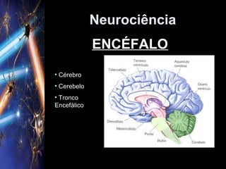 Neurociência
ENCÉFALO
• Cérebro
• Cerebelo
• Tronco
Encefálico
 