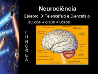 Neurociência
aula 01
SULCOS  GIRUS  LOBOS
F
U
N
Ç
Õ
E
S
Cérebro  Telencéfalo e Diencéfalo
 