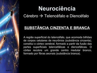 Neurociência
aula 01
A região superficial do telencéfalo, que acomoda bilhões
de corpos celulares de neurônios (substância cinzenta),
constitui o córtex cerebral, formado a partir da fusão das
partes superficiais telencefálicas e diencefálicas. O
córtex recobre um grande centro medular branco,
formado por fibras axonais (substância branca).
SUBSTÂNCIA CINZENTA E BRANCA
Cérebro  Telencéfalo e Diencéfalo
 