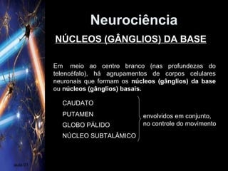 Neurociência
aula 01
Em meio ao centro branco (nas profundezas do
telencéfalo), há agrupamentos de corpos celulares
neuronais que formam os núcleos (gânglios) da base
ou núcleos (gânglios) basais.
NÚCLEOS (GÂNGLIOS) DA BASE
CAUDATO
PUTAMEN
GLOBO PÁLIDO
NÚCLEO SUBTALÂMICO
envolvidos em conjunto,
no controle do movimento
 