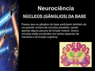 Neurociência
aula 01
Parece que os gânglios da base participam também de
um grande número de circuitos paralelos, sendo
apenas alguns poucos de função motora. Outros
circuitos estão envolvidos em certos aspectos da
memória e da função cognitiva.
NÚCLEOS (GÂNGLIOS) DA BASE
 
