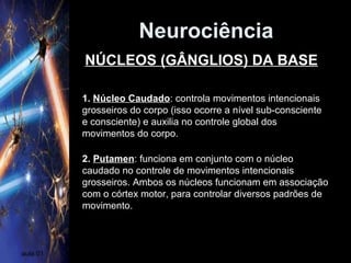 Neurociência
aula 01
1. Núcleo Caudado: controla movimentos intencionais
grosseiros do corpo (isso ocorre a nível sub-consciente
e consciente) e auxilia no controle global dos
movimentos do corpo.
NÚCLEOS (GÂNGLIOS) DA BASE
2. Putamen: funciona em conjunto com o núcleo
caudado no controle de movimentos intencionais
grosseiros. Ambos os núcleos funcionam em associação
com o córtex motor, para controlar diversos padrões de
movimento.
 