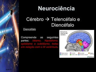 Neurociência
aula 01
Diencéfalo
Cérebro  Telencéfalo e
Diencéfalo
Compreende as seguintes
partes: tálamo, hipotálomo,
epitálamo e subtálamo, todas
em relação com o III ventrículo.
 