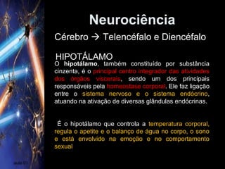 Neurociência
aula 01
Cérebro  Telencéfalo e Diencéfalo
HIPOTÁLAMO
O hipotálamo, também constituído por substância
cinzenta, é o principal centro integrador das atividades
dos órgãos viscerais, sendo um dos principais
responsáveis pela homeostase corporal. Ele faz ligação
entre o sistema nervoso e o sistema endócrino,
atuando na ativação de diversas glândulas endócrinas.
É o hipotálamo que controla a temperatura corporal,
regula o apetite e o balanço de água no corpo, o sono
e está envolvido na emoção e no comportamento
sexual.
 